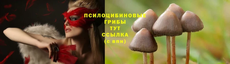 Галлюциногенные грибы MAGIC MUSHROOMS  Нариманов 